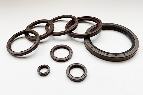 Fluorocarbon Seals