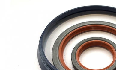 Standard Rotary Shaft Oil Seals