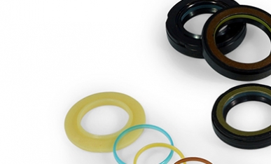 Power Steering Oil Seals