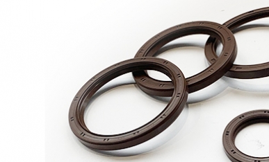 Fluorocarbon Seals