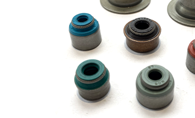 Valve Stem Oil Seals