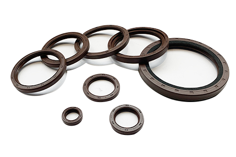 FKM Oil Seals